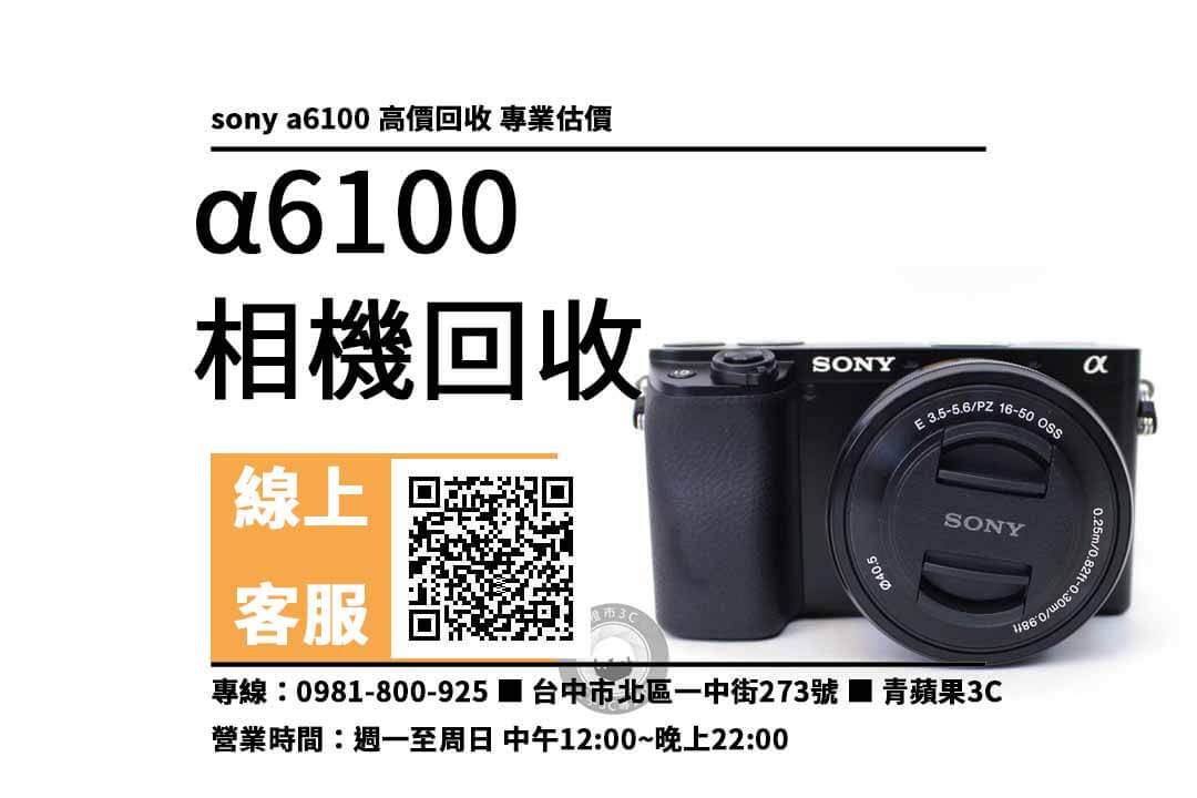 sony a6100 台中