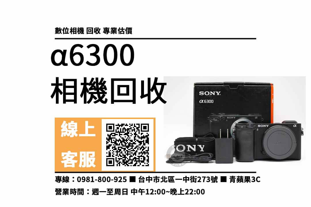 sony a6300台中